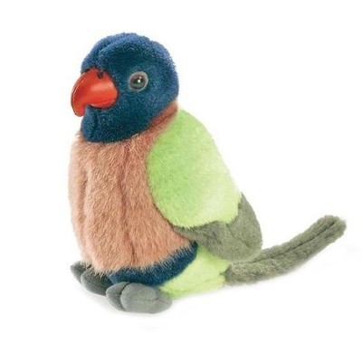 Bird with Sound Rainbow Lorikeet Bird with Sound Rainbow Lorikeet